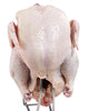 Blanco, White Chicken