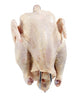 European Chicken